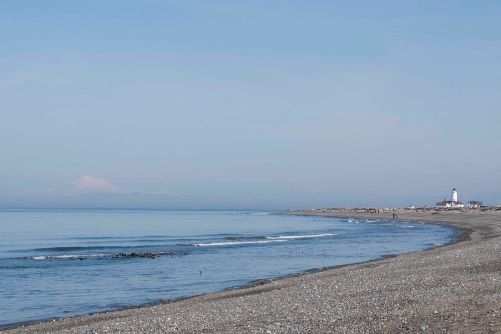 Walking the beach at the Dungeness National Wildlife Refuge is one of the best things to do in Sequim, WA this winter