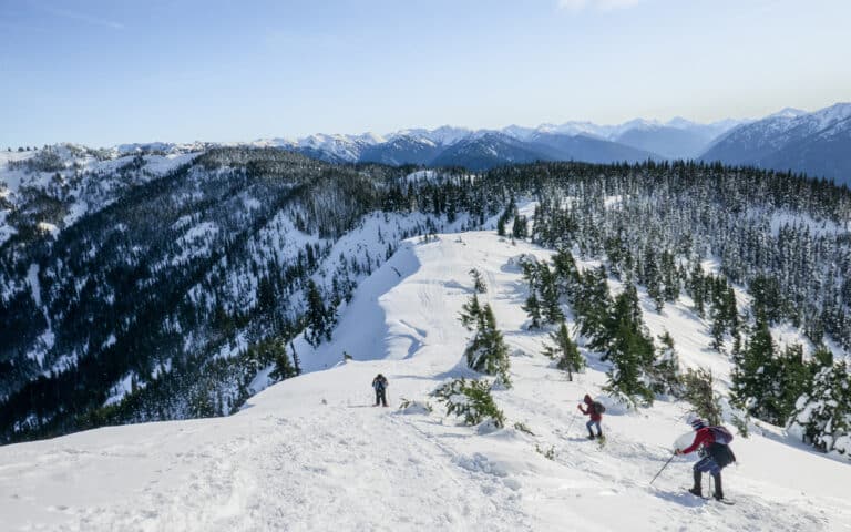 People snowshoeing at Hurricane Ridge - one of the best things to do in Sequim this winter