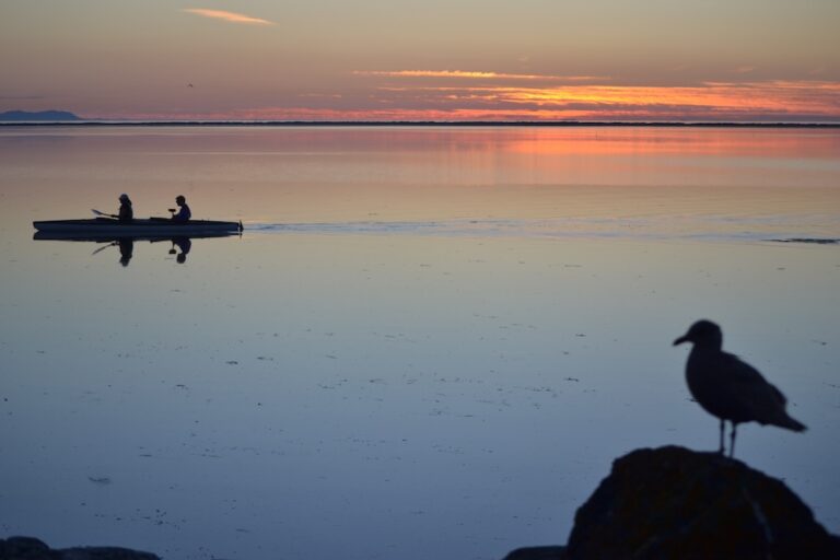 Kayaking on Sequim Bay at Sunset is one of the best things to do Sequim, WA