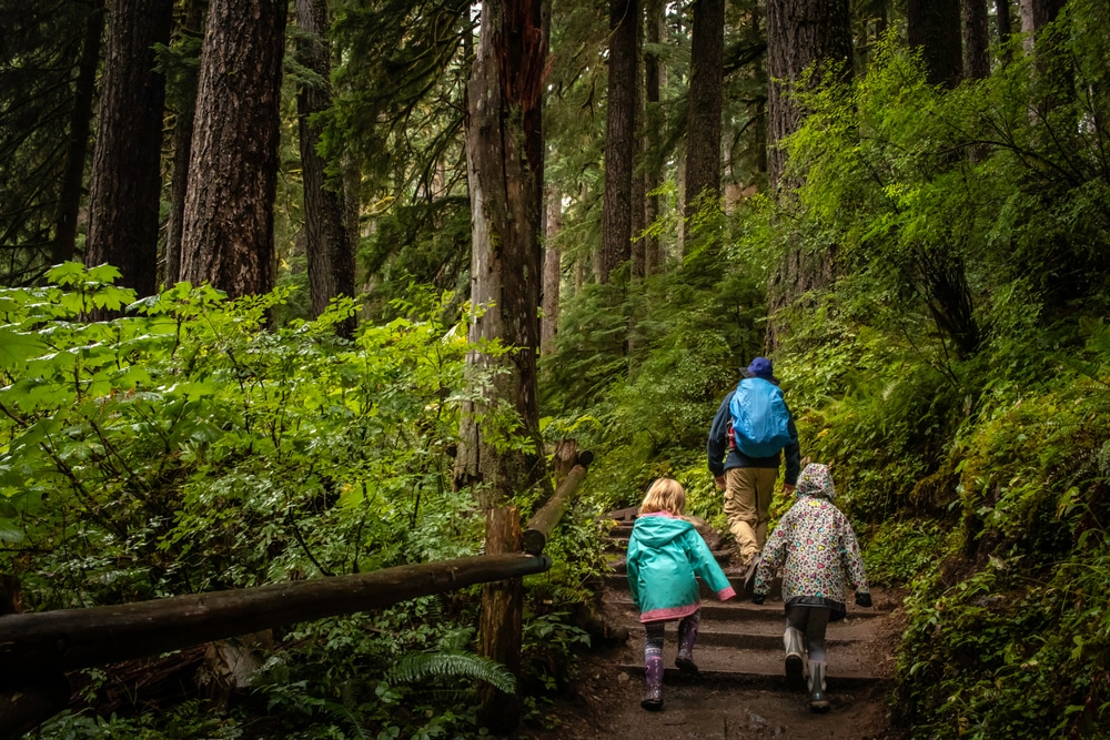 The Hoh Rainforest is One of the Best Places to Visit in Washington 4 Family hiking through the Hoh Rainforst in Olympic National Park - one of the best places to visit in Washington State