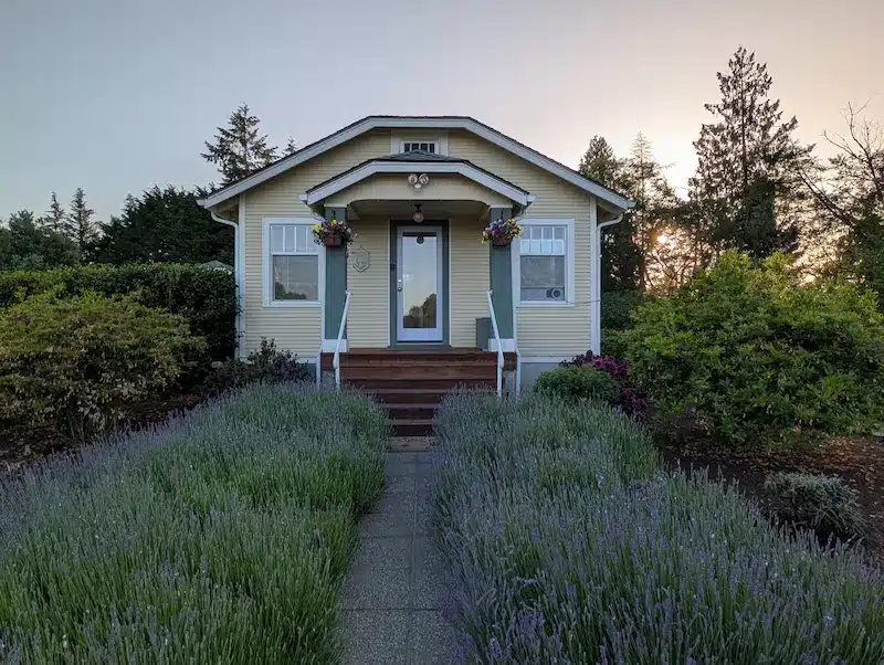 Pet Friendly Lodging 4 Pet Friendly Lodging 4
