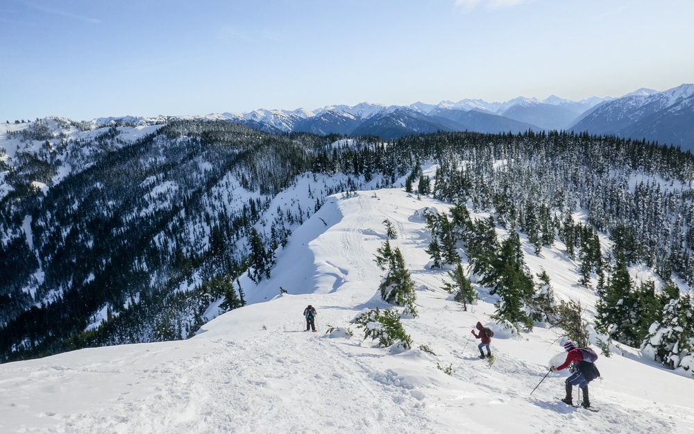 Hikers enjoying Hurricane Ridge in the snow, one of the best winter activities in Olympic National Park