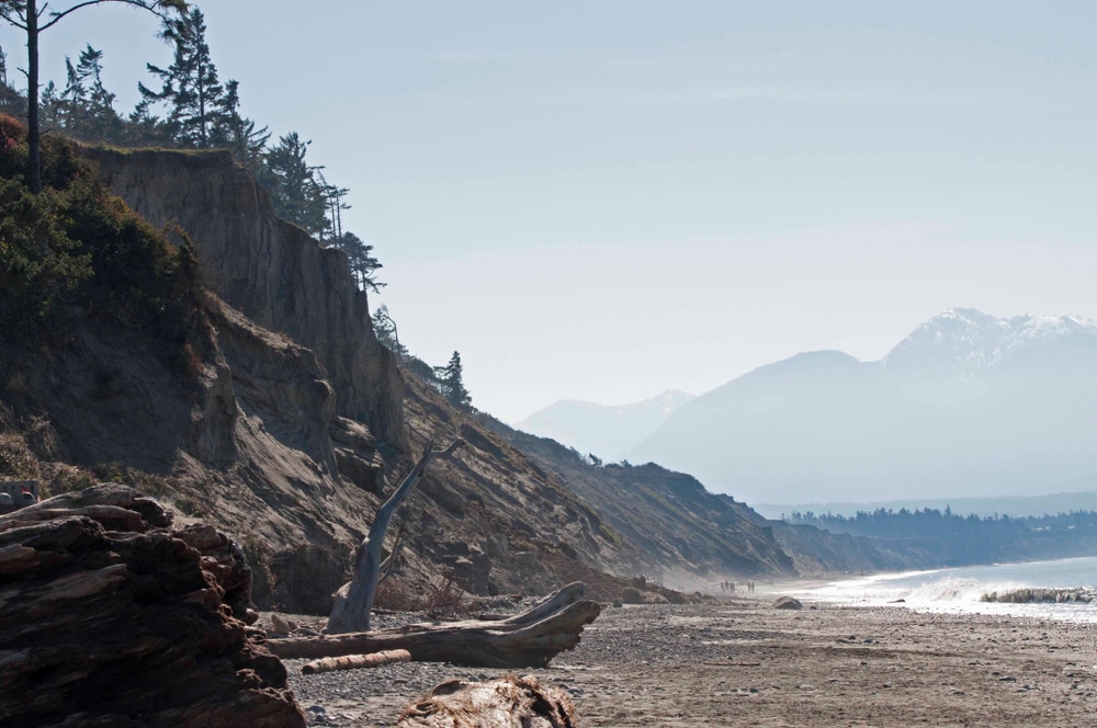 The Dungeness Spit is one of the best things to do in Sequim during your weekend getaways from Seattle